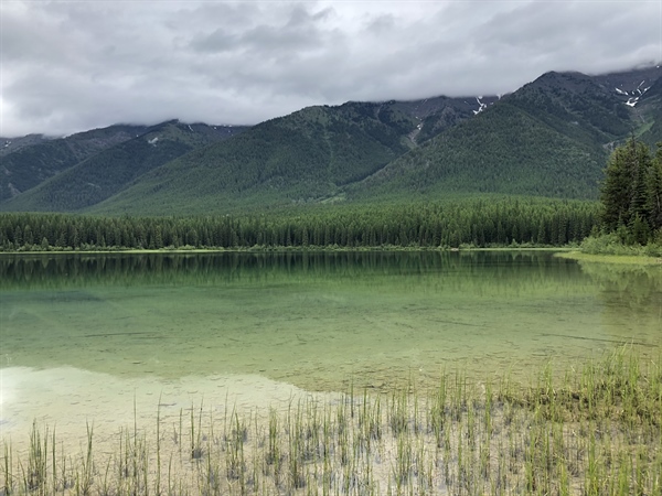 TAKE ACTION: Support the Blackfoot Clearwater Stewardship Act!