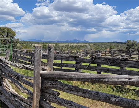AZ BHA Supports Adopt-A-Ranch Program with Cleanup