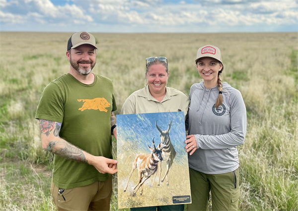 Improving and restoring pronghorn habitat in the Texas Panhandle