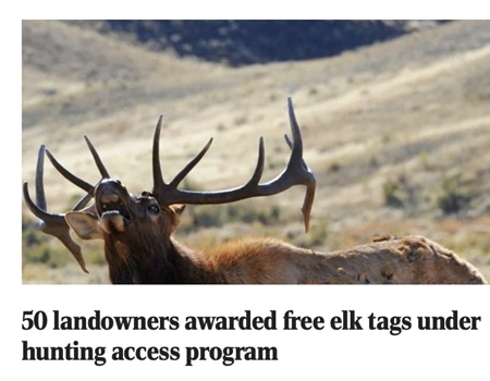 50 landowners awarded free elk tags under hunting access program