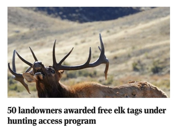 50 landowners awarded free elk tags under hunting access program