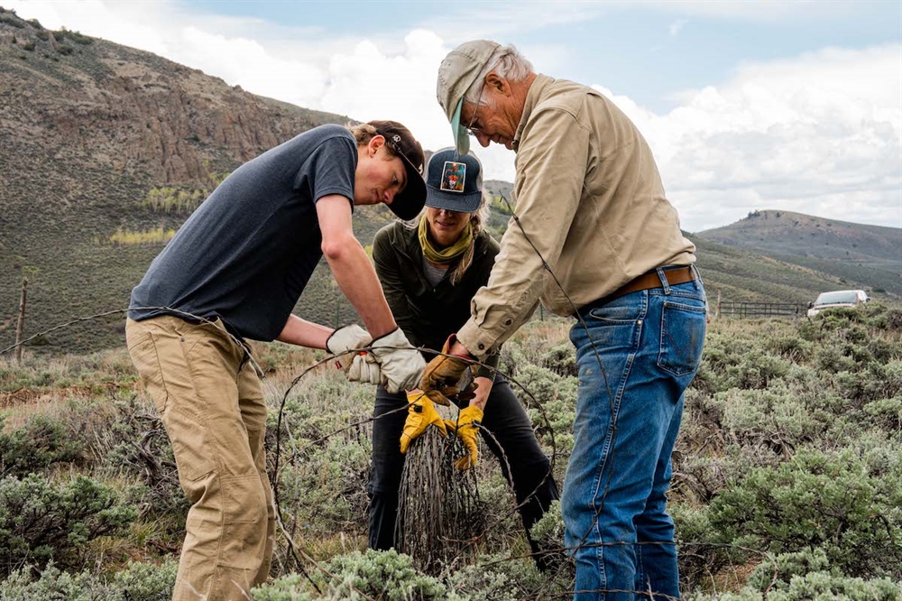 Beers, Bands, and Barbed Wire Strands: A Stewardship Event in Gunnison, CO