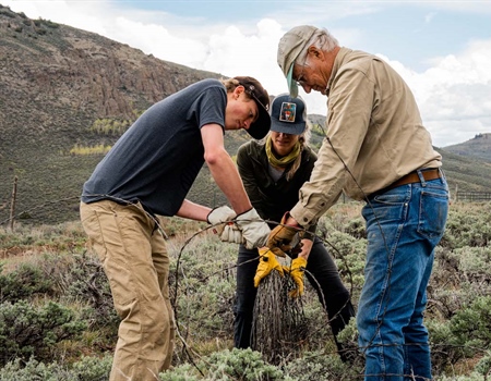 Beers, Bands, and Barbed Wire Strands: A Stewardship Event in Gunnison, CO