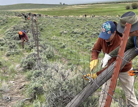 EVENT RECAP - Horse Prairie Fence Pull - June 2023