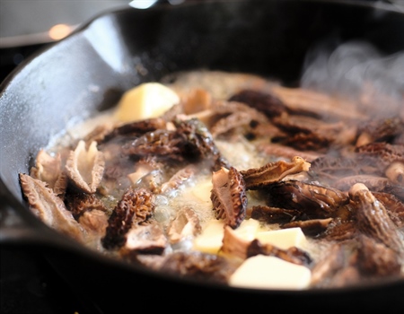Springtime Pasta with Morels