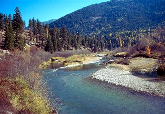 LETTER: Montana BHA comments on proposed Upper Thompson Conservation Easement.