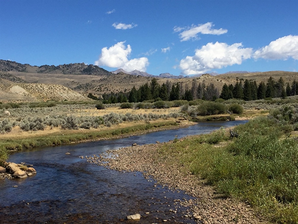 1872 Mining Law Reform Legislation Launched in 118th Congress