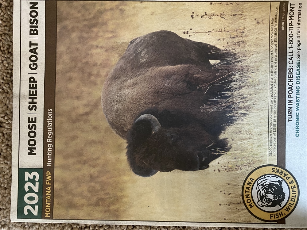 FWP accidentally issues too many moose, bighorn sheep licenses; recall ordered