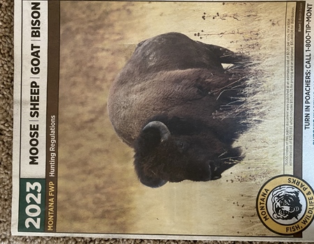 FWP accidentally issues too many moose, bighorn sheep licenses; recall ordered
