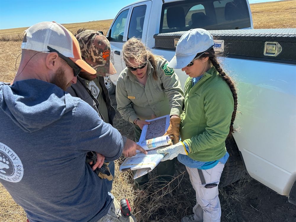 NMBHA Funds Pronghorn Habitat Improvement