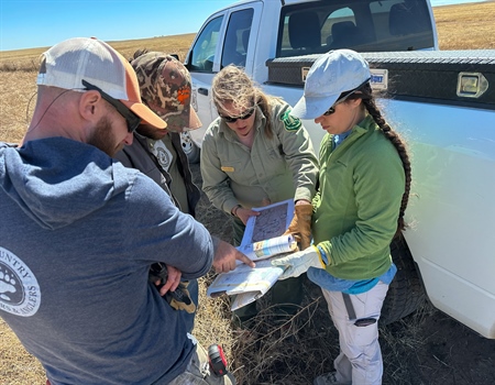 NMBHA Funds Pronghorn Habitat Improvement