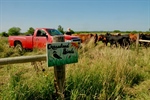 On the Farm