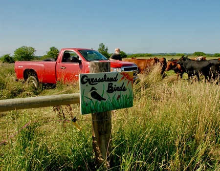 On the Farm