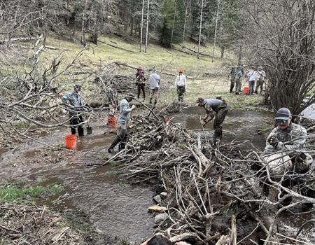 NMBHA Improves Riparian Habitat & Hunts Spring Gobblers