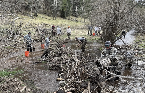 NMBHA Improves Riparian Habitat & Hunts Spring Gobblers