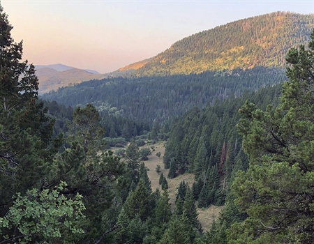 New Mexico Department of Game and Fish April Update