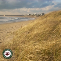 Take Action - Rhode Island: Protecting Shoreline Access in S417A