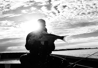 Striped Bass & ASMFC Spring Meeting 2023