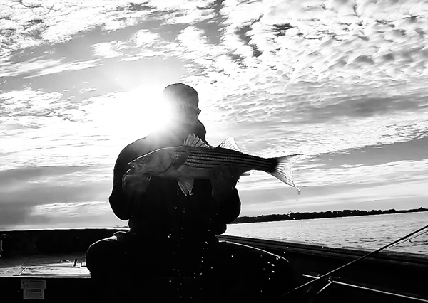 Striped Bass & ASMFC Spring Meeting 2023