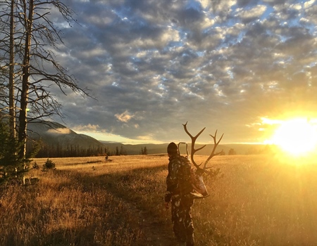LETTER: Montana BHA comments on WSR and Wilderness Inventories in draft Lolo National Forest Plan