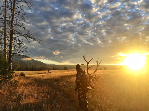 LETTER: Montana BHA comments on WSR and Wilderness Inventories in draft Lolo National Forest Plan