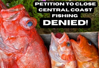 BHA Shuts Down a Petition Attempting to Close Nearshore Fishing in California