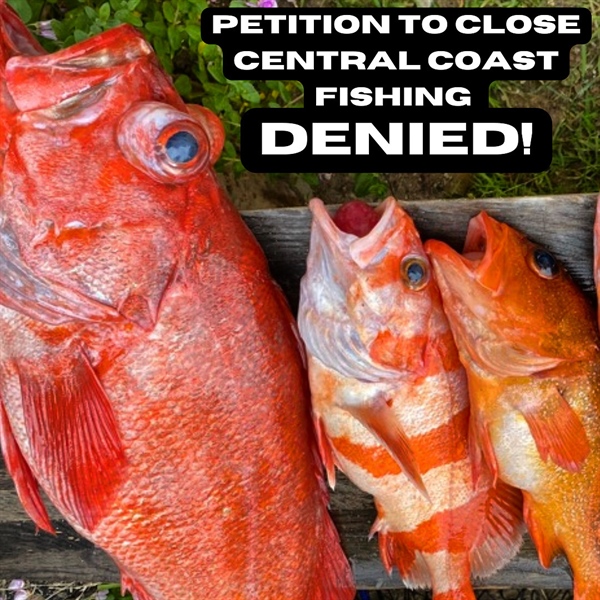 BHA Shuts Down a Petition Attempting to Close Nearshore Fishing in California