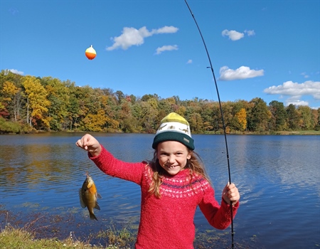 Backcountry Bluegills
