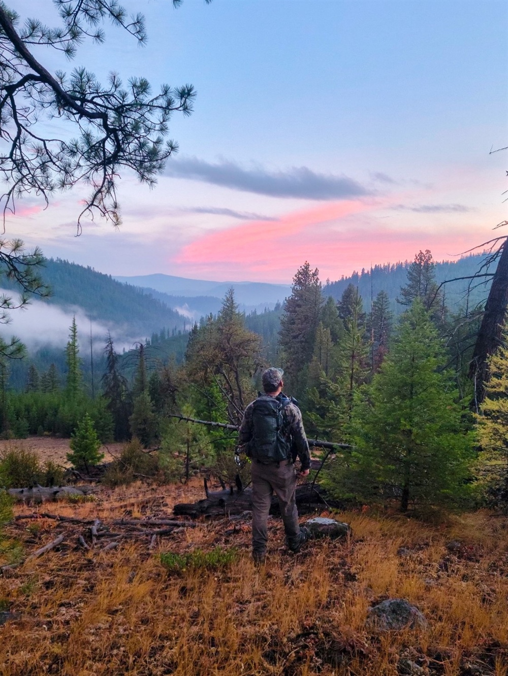 Colorado BHA Q2 2023 Update