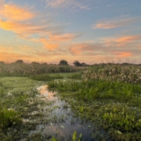 Florida BHA encourages hunting, recreation access in proposed USFWS Conservation Area