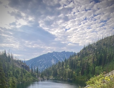 Proposed ‘Public Lands Rule’ Defines Interior’s Conservation Strategy