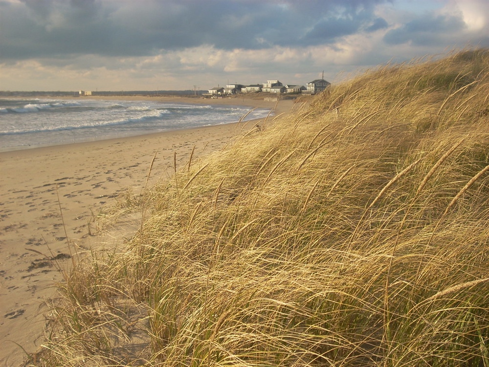 Take Action –  Rhode Island: 2023 House Judiciary Hearing on Shoreline Access