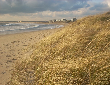 Take Action –  Rhode Island: 2023 House Judiciary Hearing on Shoreline Access