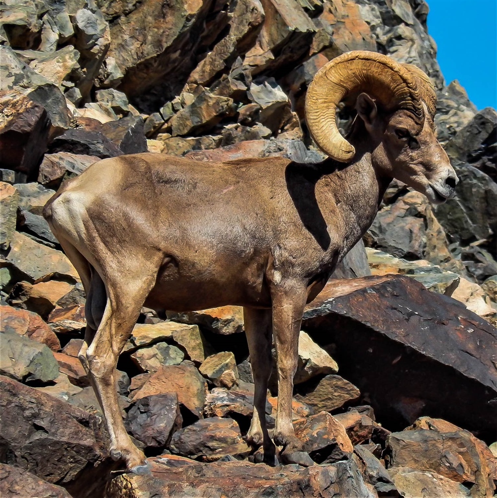 Southwest Public Lands Permanently Conserved Via Antiquities Act