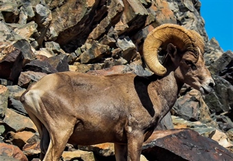 Southwest Public Lands Permanently Conserved Via Antiquities Act