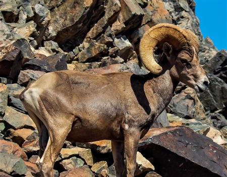 Southwest Public Lands Permanently Conserved Via Antiquities Act