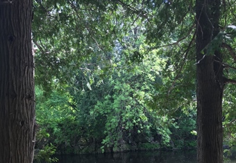 Another Dam in the Arkansas River? In Tulsa? Why?