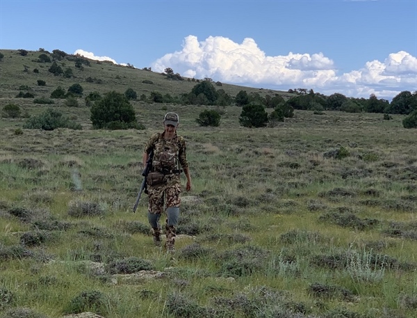 New Mexico Public Lands, Habitat Would be Conserved in New Wilderness Bill