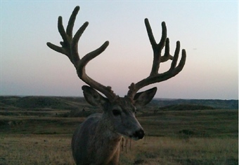 Bill bans sale of public land trail camera images for hunting