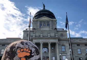Montanans Rebuke Legislation to Limit Access and Habitat Funding