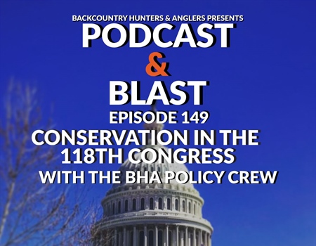 Podcast & Blast: Episode 149, Conservation in the 118th Congress with the BHA Policy Crew