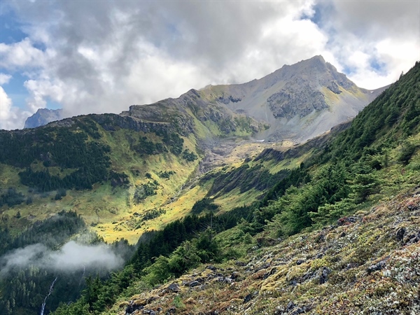 Roadless Protections for Backcountry Lands in Southeastern Alaska Restored