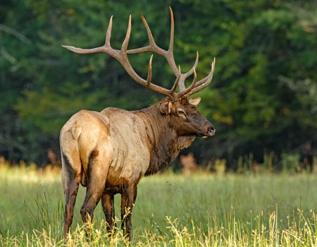 MT Legislature set to take up fish, wildlife issues