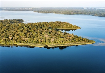 Take Action for Fairfield Lake State Park