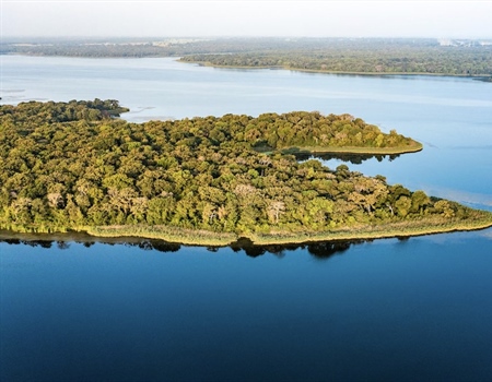 Take Action for Fairfield Lake State Park