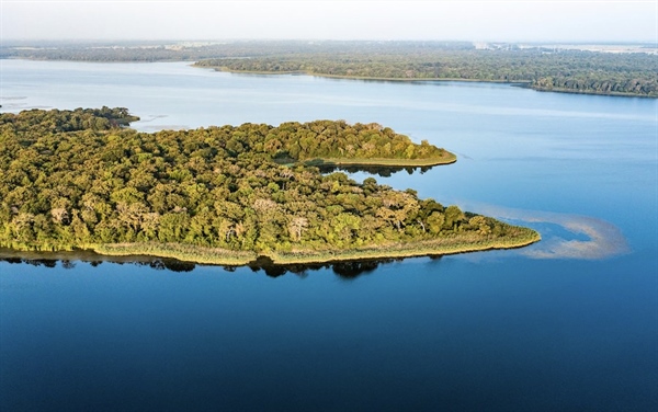 Take Action for Fairfield Lake State Park