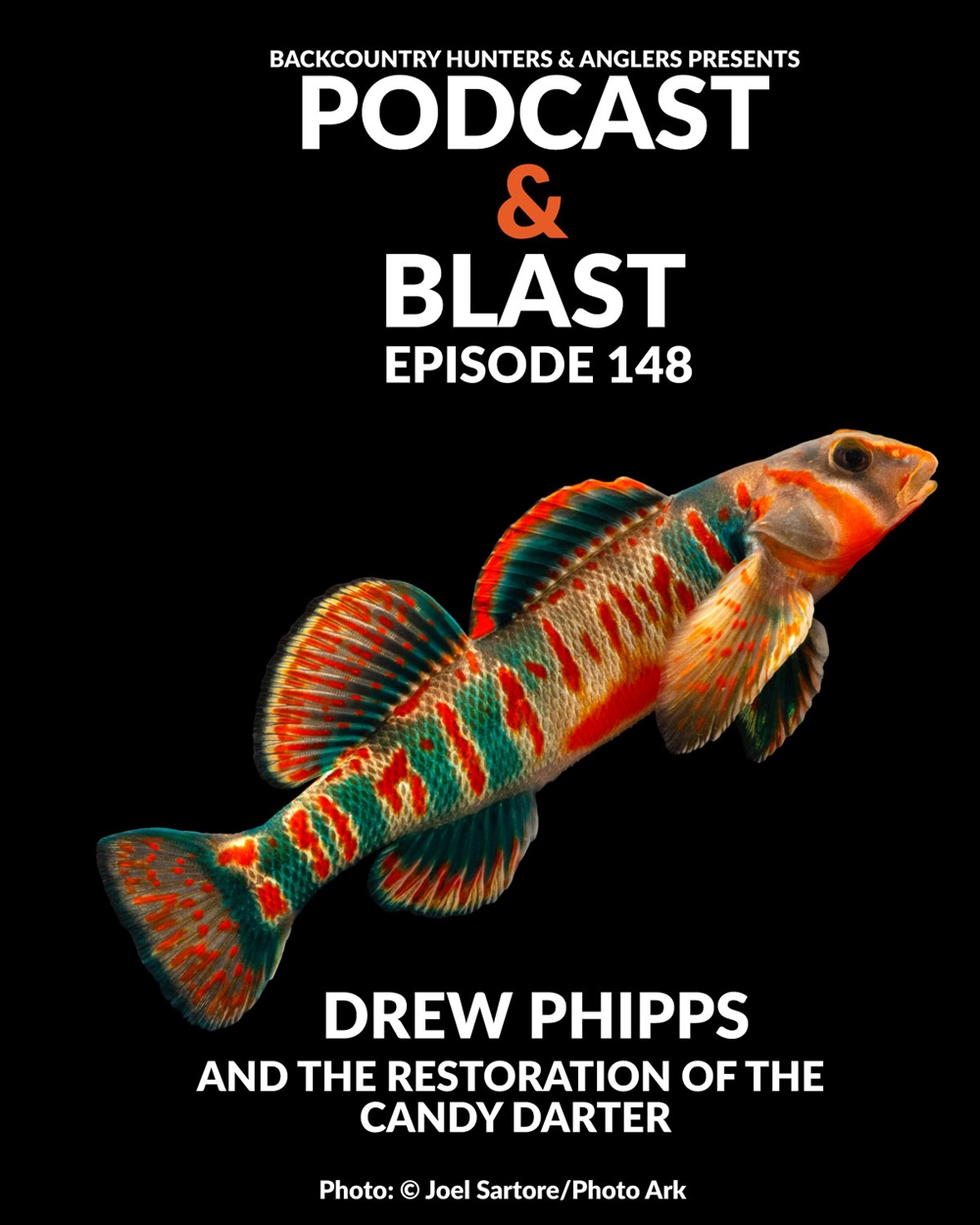 BHA Podcast & Blast, Ep. 148: Drew Phipps and The Restoration of the Candy Darter