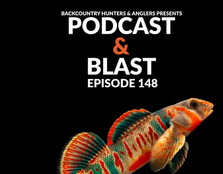 BHA Podcast & Blast, Ep. 148: Drew Phipps and The Restoration of the Candy Darter