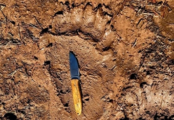 LETTER: MT BHA Comments on Grizzly Bear Management Plan and EIS
