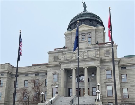 Elk regulations top talks in Helena as 2 gatherings are planned